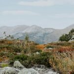 green grass and gray rocky mountain during daytime